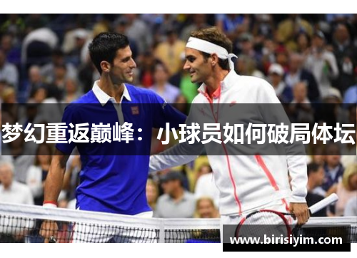 梦幻重返巅峰：小球员如何破局体坛