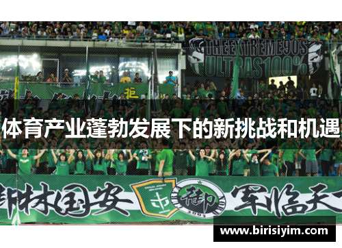 体育产业蓬勃发展下的新挑战和机遇